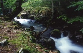 Itinerari, Escursioni, Eventi e Vie di Accesso - Vacanze da sogno in Abruzzo