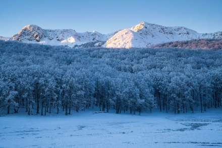 A Villa Tina "a casa fuori casa" ... nella natura del Parco - Vacanze da sogno in Abruzzo