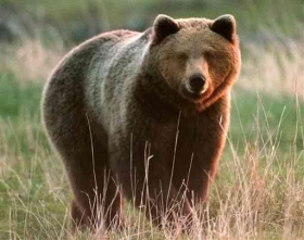 How does one describe such sweetness ? - Dream Vacation in Abruzzo